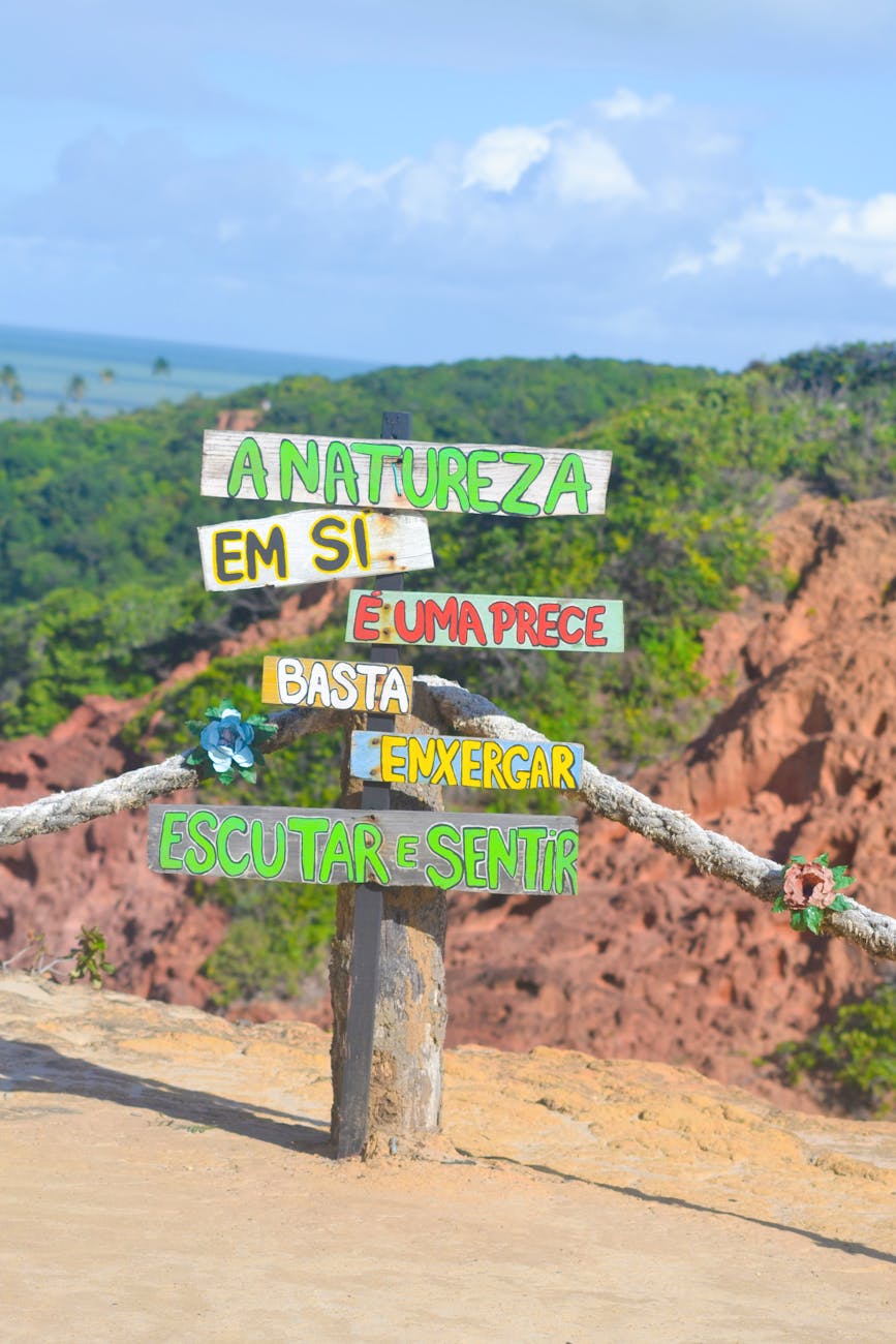 Desenvolvedor WordPress: Uma Carreira em Alta